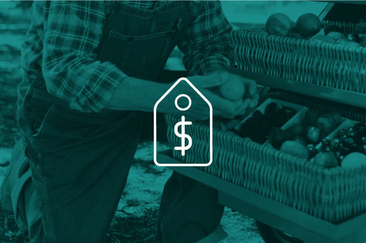 Economía solidaria
